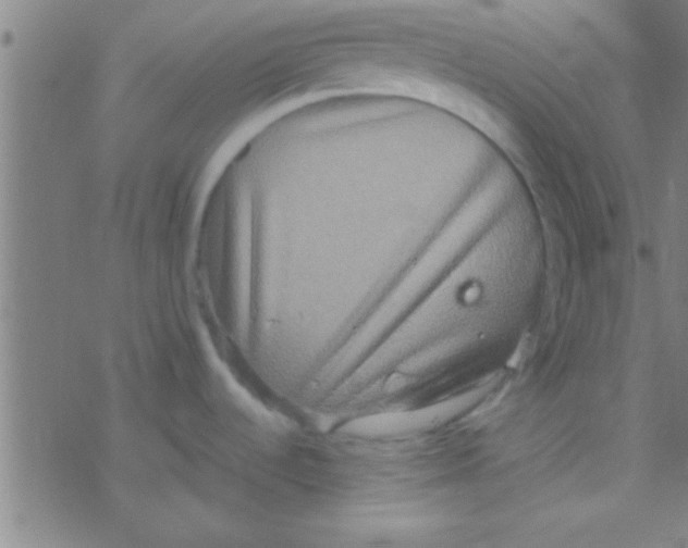 X0000076451536200610271811