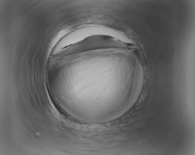X0000076450003200611031943