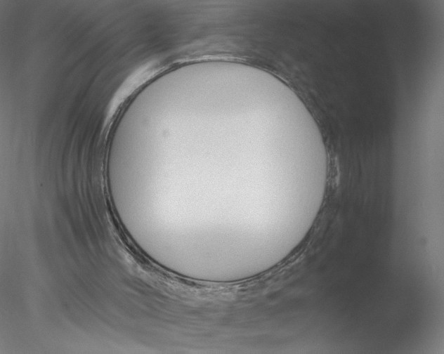 X0000076450004200611031943