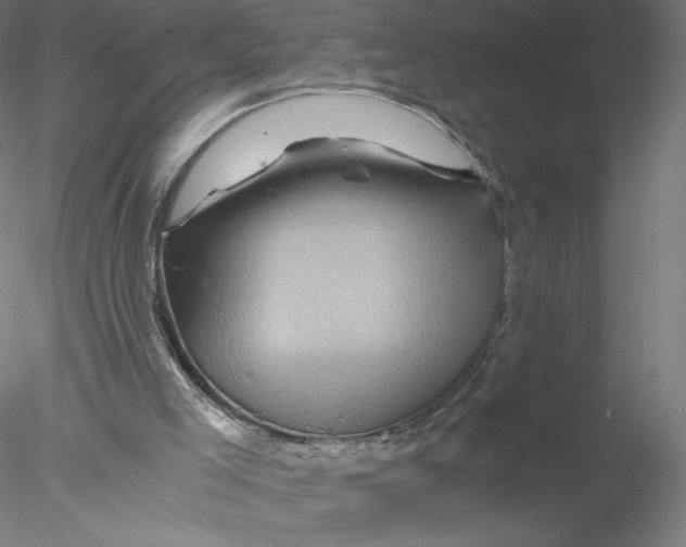 X0000076450005200611031943