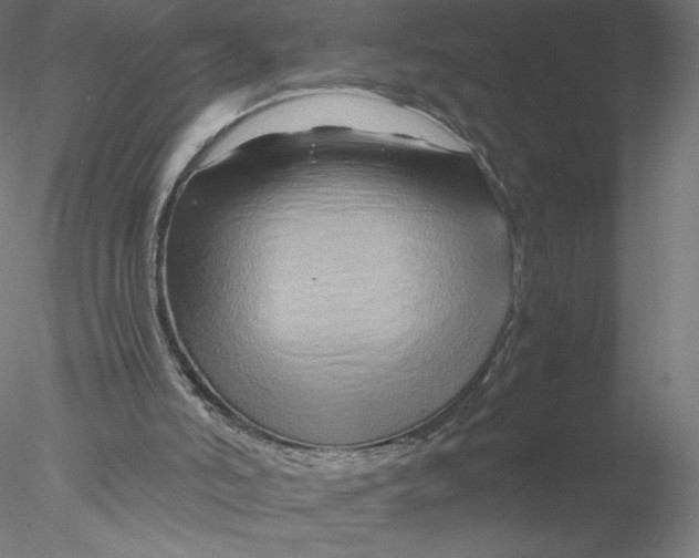 X0000076450006200611031943
