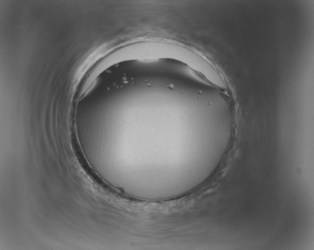 X0000076450007200611031943