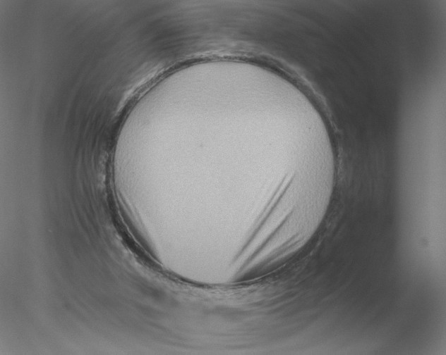 X0000076450010200611031943