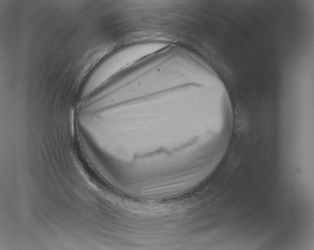 X0000076450014200611031943