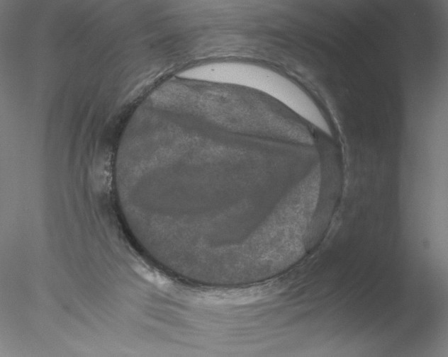 X0000076450017200611031943