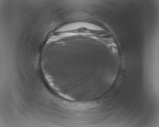 X0000076450018200611031943