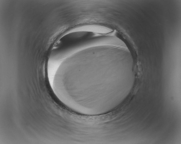 X0000076450019200611031943
