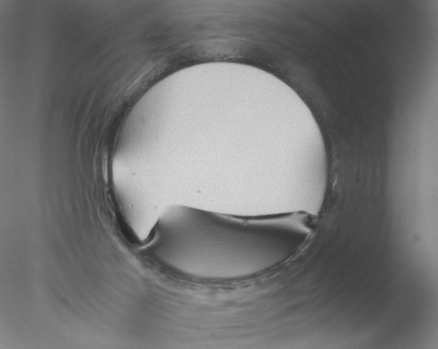 X0000076450021200611031943