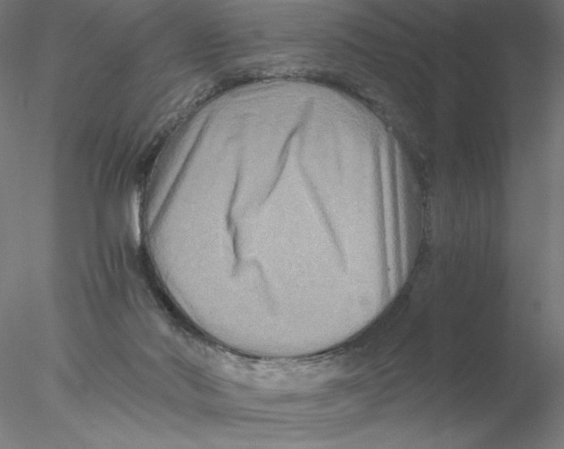 X0000076450022200611031943