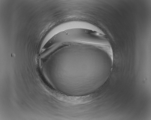 X0000076450023200611031943
