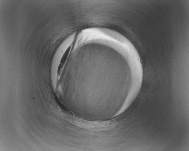 X0000076450027200611031943