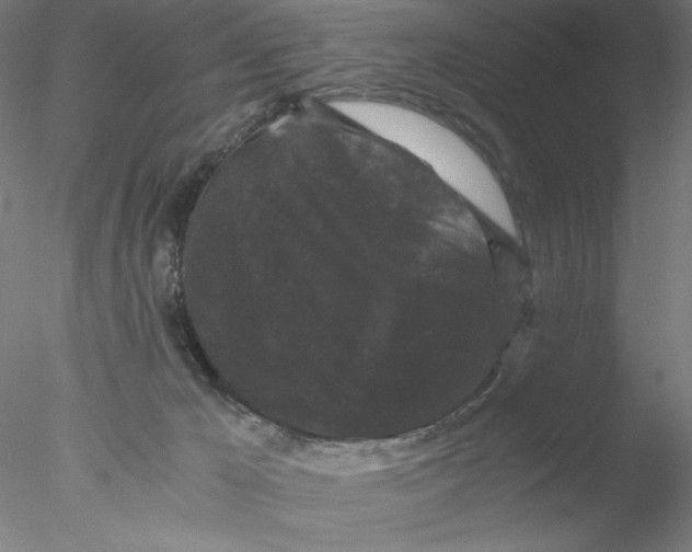 X0000076450029200611031943