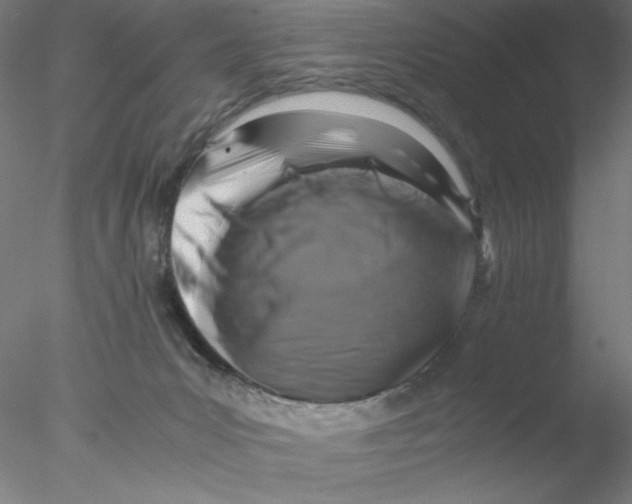 X0000076450031200611031943