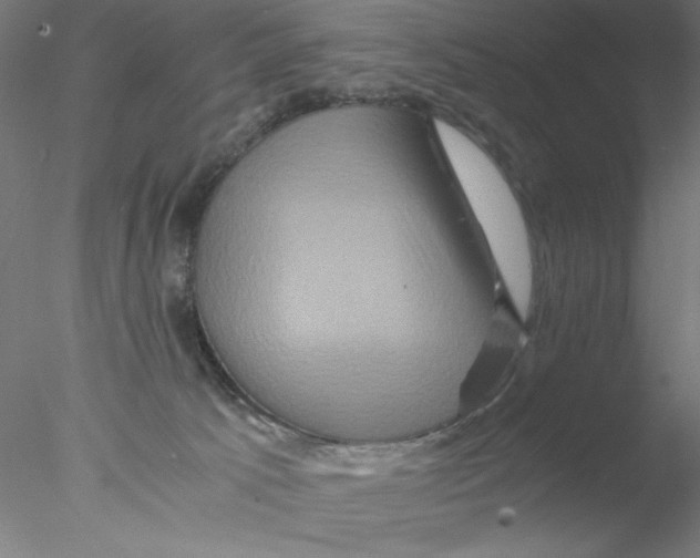 X0000076450033200611031943