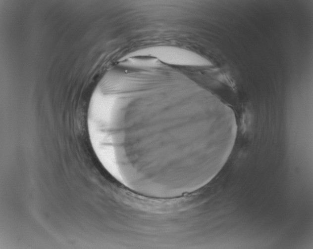 X0000076450035200611031943