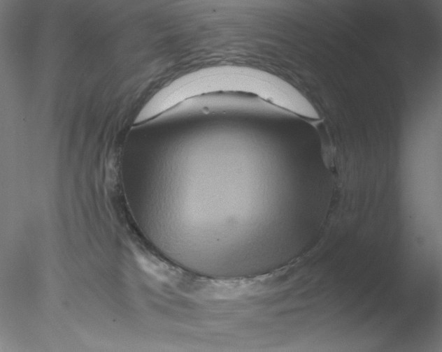 X0000076450037200611031943
