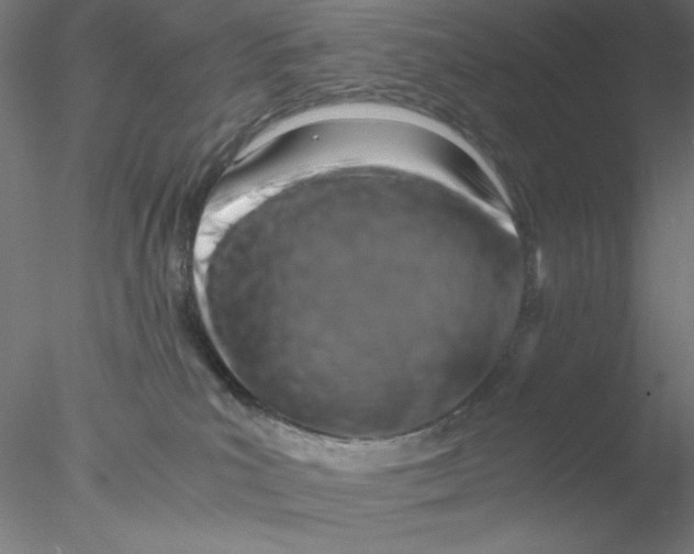 X0000076450039200611031943