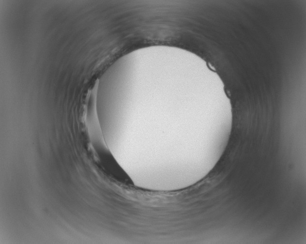 X0000076450040200611031943