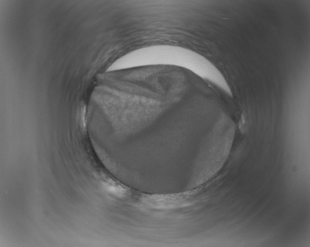 X0000076450041200611031942