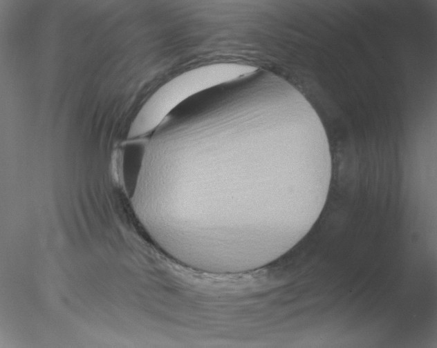 X0000076450042200611031942