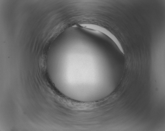 X0000076450044200611031942