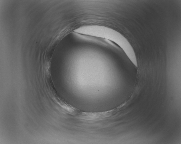 X0000076450045200611031942