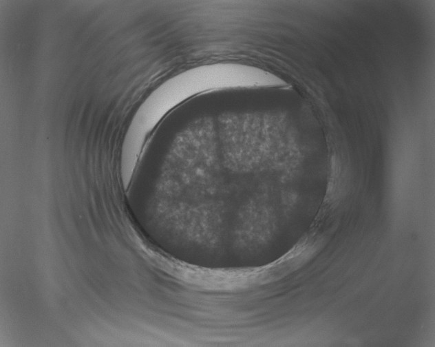 X0000076450048200611031942
