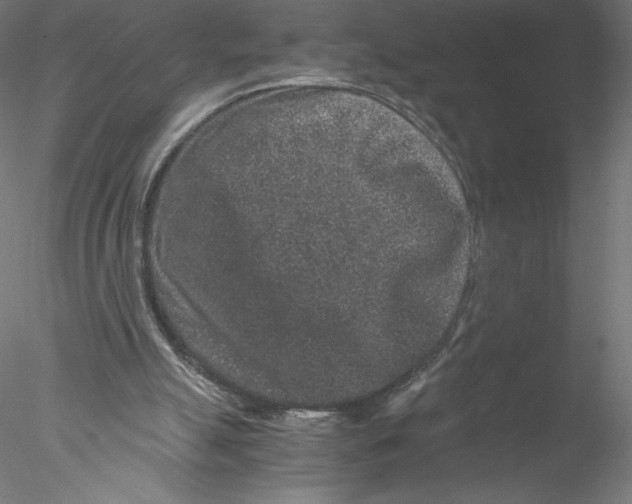 X0000076450055200611031942
