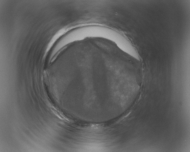 X0000076450056200611031942