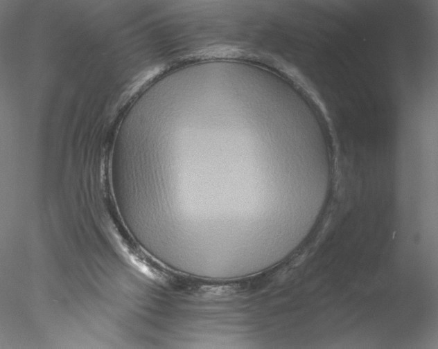 X0000076450057200611031942