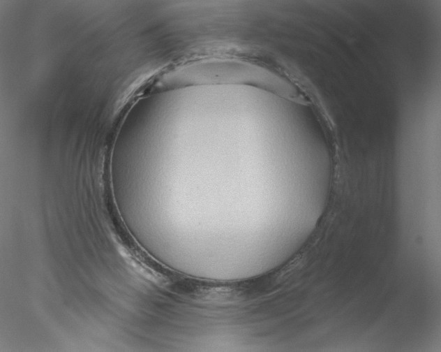 X0000076450058200611031942