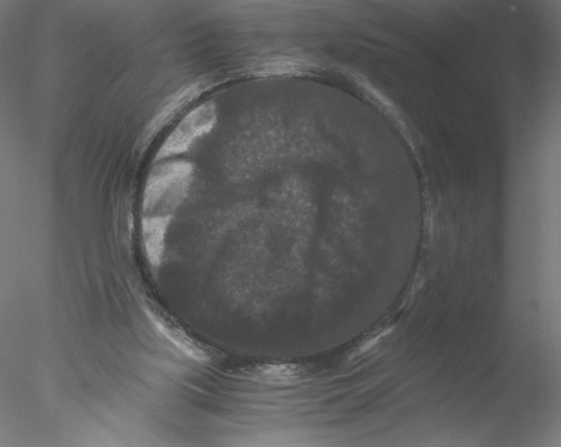 X0000076450059200611031942