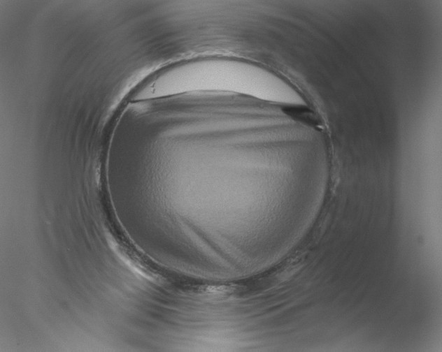 X0000076450060200611031942
