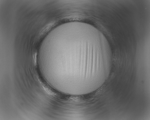 X0000076450070200611031942