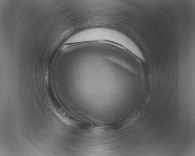 X0000076450072200611031942