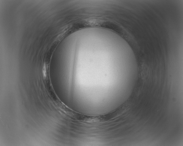 X0000076450075200611031942