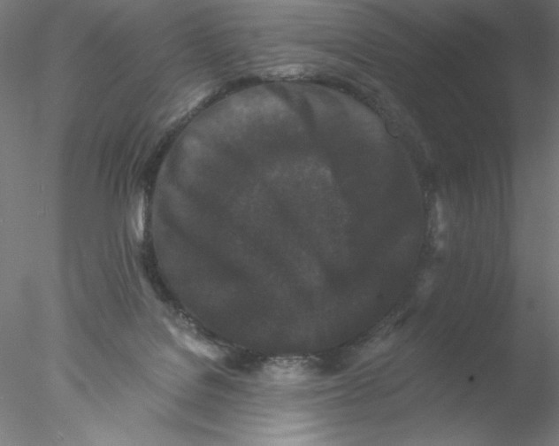 X0000076450076200611031942