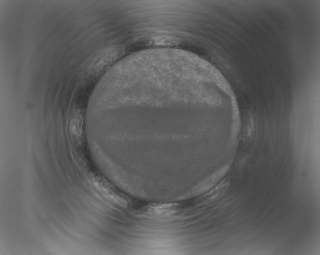 X0000076450078200611031942