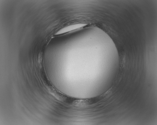X0000076450082200611031942