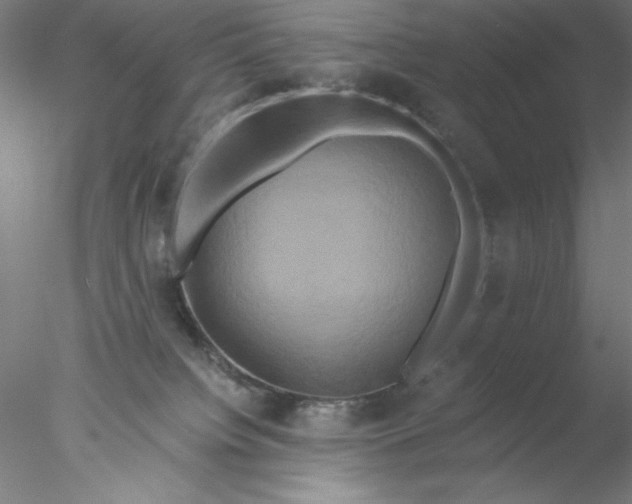 X0000076450084200611031942
