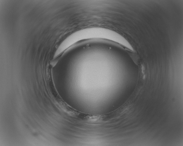 X0000076450088200611031942
