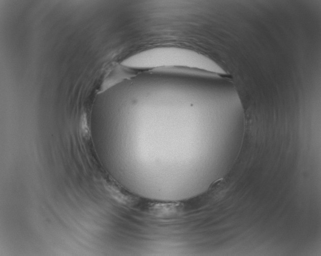 X0000076450089200611031942