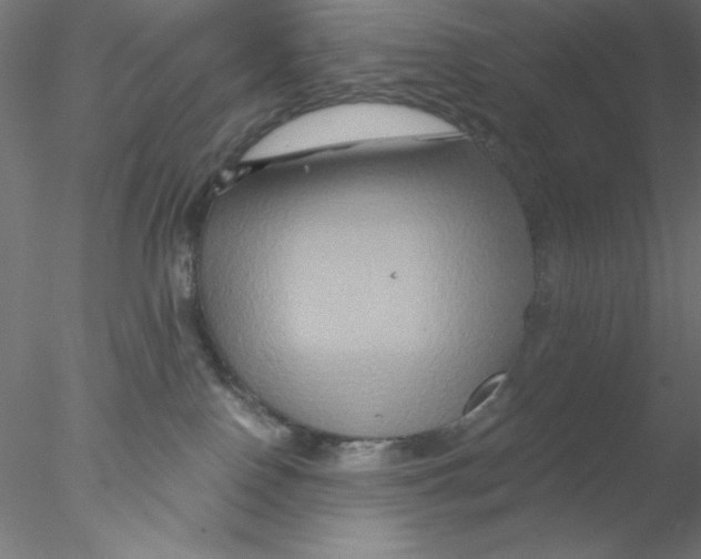 X0000076450090200611031942