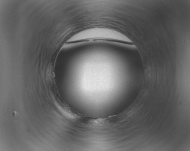 X0000076450092200611031942