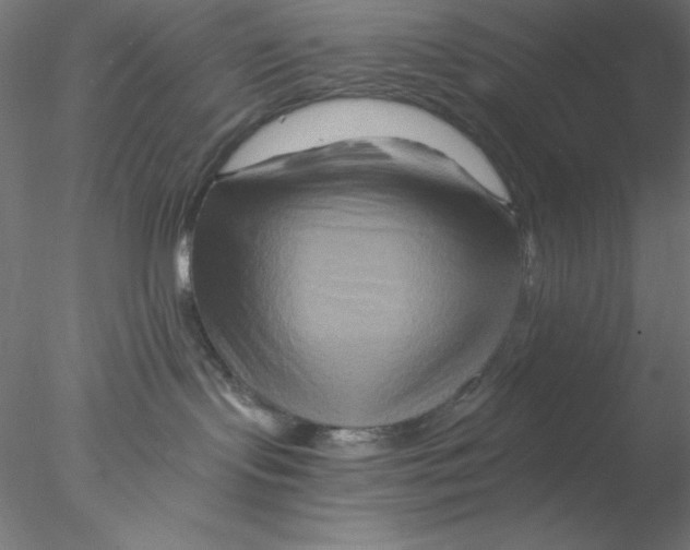X0000076450095200611031942