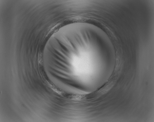 X0000076450096200611031942