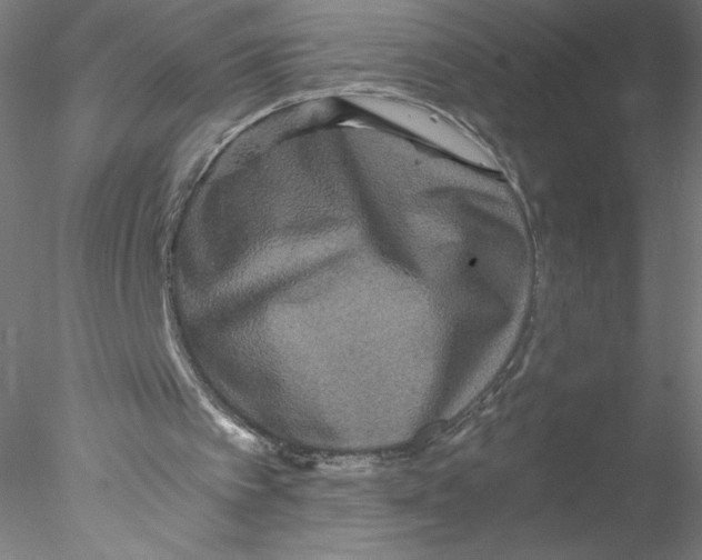 X0000076450097200611031942