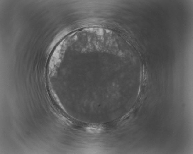X0000076450099200611031942