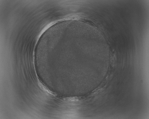 X0000076450100200611031942