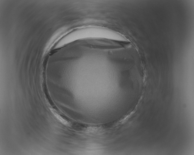 X0000076450101200611031941